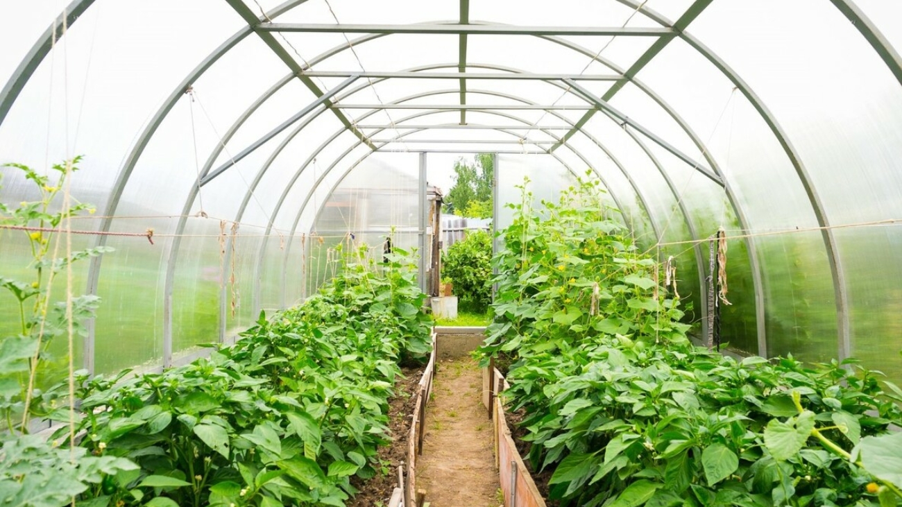 Sustainability lexicon - 86