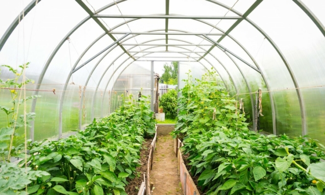 Sustainability lexicon - 86